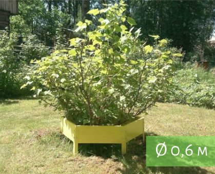 Клумба "Сота" 300 Клумба "Сота" 300