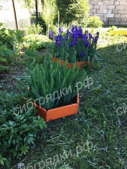 Клумба "Сота" 400 в Томске Клумба "Сота" 400 в Томске